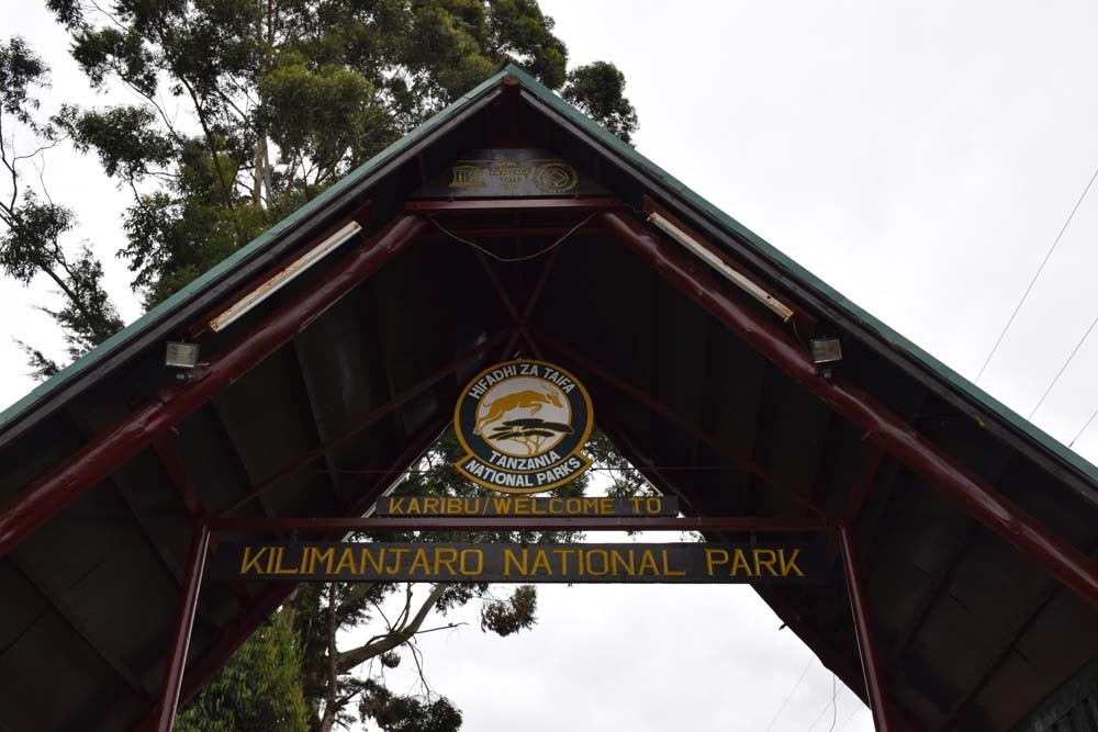 مهدی پارسا - عکس از سفر به بام کیلیمانجارو ۹۵ - Mehdi Parsa Kilimanjaro trip