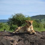 سفر به کنیا – آذر 99